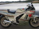 Suzuki RG 400 Walter Wolf